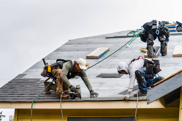 Professional Roofing technician working in Douglas City, CA
